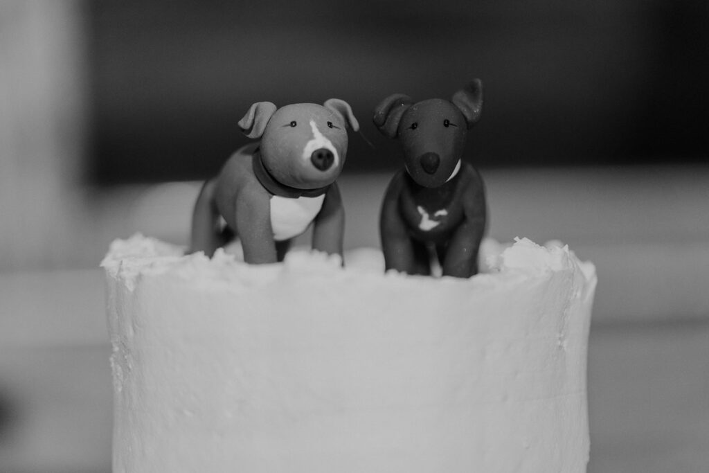 custom dog cake toppers at Thompson Barn wedding